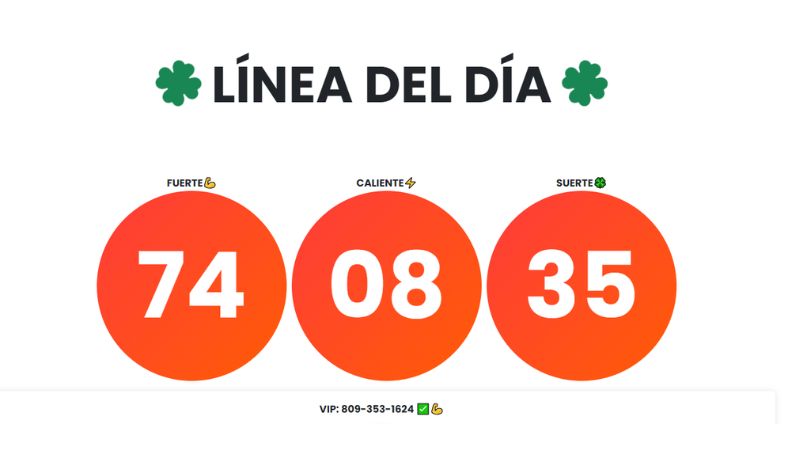 Jugadores fieles vs. números calientes: ¿a quién le va mejor en la lotería?